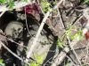 Ліквідація російських загарбників у районі Авдіївки. ВIДЕО Ліквідація-російських-загарбників-у-районі-Авдіївки.-ВiДЕО