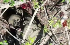 Ліквідація російських загарбників у районі Авдіївки. ВIДЕО Ліквідація-російських-загарбників-у-районі-Авдіївки.-ВiДЕО