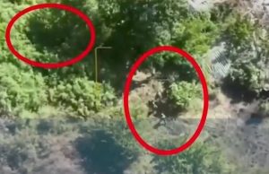 Десять тіл окупантів валяються у кущах після прильоту української міни. ВIДЕО 18+ Десять-тіл-окупантів-валяються-у-кущах-після-прильоту-української-міни.-ВiДЕО-18+