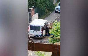 Чоловіка силою заштовхали в бус в Ужгороді: у ТЦК кажуть, що він намагався здійснити напад... Чоловіка-силою-заштовхали-в-бус-в-Ужгороді:-у-ТЦК-кажуть,-що-він-намагався-здійснити-напад.