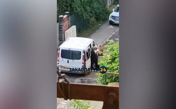 Чоловіка силою заштовхали в бус в Ужгороді: у ТЦК кажуть, що він намагався здійснити напад... Чоловіка-силою-заштовхали-в-бус-в-Ужгороді:-у-ТЦК-кажуть,-що-він-намагався-здійснити-напад.