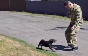 Прикордонник Андрій після 2 років полону зустрівся зі своїм собакою. ВIДЕО Прикордонник-Андрій-після-2-років-полону-зустрівся-зі-своїм-собакою.-ВiДЕО