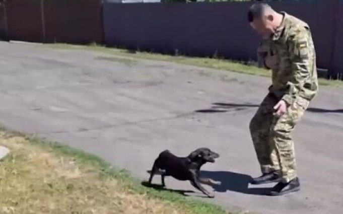 Прикордонник Андрій після 2 років полону зустрівся зі своїм собакою. ВIДЕО Прикордонник-Андрій-після-2-років-полону-зустрівся-зі-своїм-собакою.-ВiДЕО