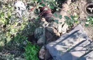 “Бойові” бджоли після прильоту дрона добивають окупанта, який ховався на пасіці. ВIДЕО 18+ “Бойові”-бджоли-після-прильоту-дрона-добивають-окупанта,-який-ховався-на-пасіці.-ВiДЕО-18+