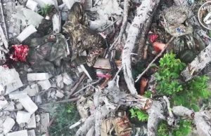 Влучними скидами боєприпасів наші бійці ліквідували кількох окупантів на Херсонщині. ВIДЕО Влучними-скидами-боєприпасів-наші-бійці-ліквідували-кількох-окупантів-на-Херсонщині.-ВiДЕО