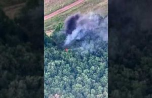 Очі та Жало у лісах за поребриком. Перших +100 хробачих цілей за 10 діб. (ВІДЕО) Очі та Жало у лісах за поребриком. Перших +100 хробачих цілей за 10 діб. (ВІДЕО)