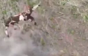 Тіло окупанта високо злітає угору і робить півтора оберта у повітрі після скиду з українського... Тіло-окупанта-високо-злітає-угору-і-робить-півтора-оберта-у-повітрі-після-скиду-з-українського.