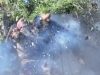 Оператор дрона-камікадзе прямим влучанням знищує окупанта. ВIДЕО 18+ Оператор-дрона-камікадзе-прямим-влучанням-знищує-окупанта.-ВiДЕО-18+