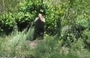 Росіянин на полі бою, стоячи на колінах, дивиться на український БПЛА, б’є поклони та читає... Росіянин-на-полі-бою,-стоячи-на-колінах,-дивиться-на-український-БПЛА,-б’є-поклони-та-читає.