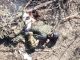 Окупант горить від удару БпЛА серед трупів інших російських загарбників. ВIДЕО 18+ Окупант-горить-від-удару-БпЛА-серед-трупів-інших-російських-загарбників.-ВiДЕО-18+