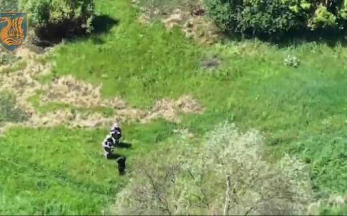Морські піхотинці поповнили обмінний фонд під Вовчанськом. ВIДЕО Морські-піхотинці-поповнили-обмінний-фонд-під-Вовчанськом.-ВiДЕО