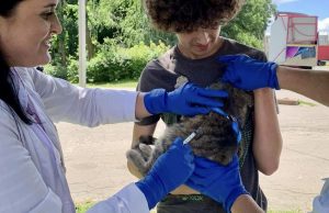 Безкоштовна мобільна вакцинація домашніх тварин: понад 30 чотирилапих щепили від сказу Безкоштовна-мобільна-вакцинація-домашніх-тварин:-понад-30-чотирилапих-щепили-від-сказу