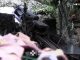 Прикордонники знищили дві ворожі гаубиці та станцію РЕБ окупантів. ВIДЕО Прикордонники-знищили-дві-ворожі-гаубиці-та-станцію-РЕБ-окупантів.-ВiДЕО