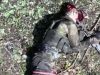 Російський солдат вистрілив собі в голову з автомата біля Вовчанська. ВIДЕО Російський-солдат-вистрілив-собі-в-голову-з-автомата-біля-Вовчанська.-ВiДЕО