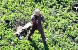 Окупант перед смертю молиться на український дрон. ВIДЕО 18+ Окупант-перед-смертю-молиться-на-український-дрон.-ВiДЕО-18+