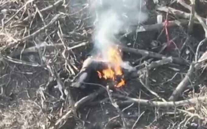 Окупант горить у переліску, а потім вибухає. ВIДЕО Окупант-горить-у-переліску,-а-потім-вибухає.-ВiДЕО