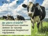Агровиробники можуть подати заявки на дотації та субсидії Агровиробники-можуть-подати-заявки-на-дотації-та-субсидії