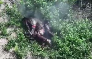 Росіянин застрелився в кущах на полі бою поблизу Білогорівки. ВIДЕО Росіянин-застрелився-в-кущах-на-полі-бою-поблизу-Білогорівки.-ВiДЕО