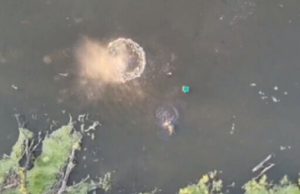 Знищення скидами з дронів російських окупантів у Кринках. ВIДЕО Знищення-скидами-з-дронів-російських-окупантів-у-Кринках.-ВiДЕО