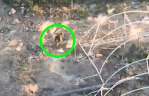 Останній забіг окупанта вулицями розбомблених Кринків на Херсонщині. ВIДЕО Останній-забіг-окупанта-вулицями-розбомблених-Кринків-на-Херсонщині.-ВiДЕО