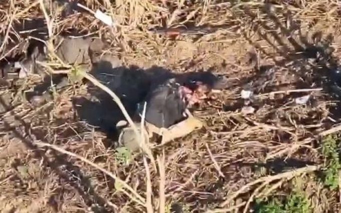 Окупанту відірвало ногу і порвало зад. ВIДЕО 18+ Окупанту-відірвало-ногу-і-порвало-зад.-ВiДЕО-18+