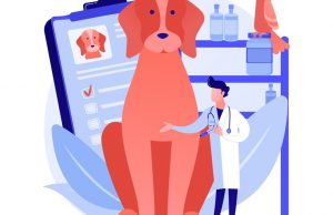 У Нововолинську проведуть чергову вакцинацію домашніх тварин проти сказу У-Нововолинську-проведуть-чергову-вакцинацію-домашніх-тварин-проти-сказу