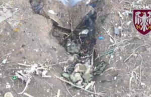 Підрозділ Wild Division “викурює” окупантів дронами-камікадзе. ВIДЕО Підрозділ-wild-division-“викурює”-окупантів-дронами-камікадзе.-ВiДЕО