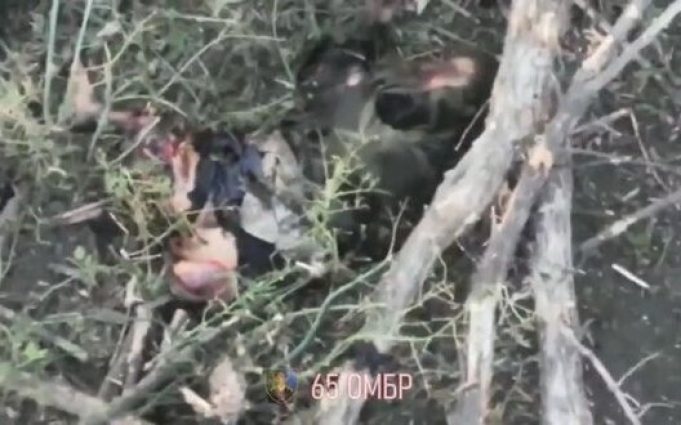 Окупант залишився без рук і ніг після атаки бійців 65 ОМБр. ВIДЕО 18+ Окупант-залишився-без-рук-і-ніг-після-атаки-бійців-65-ОМБр.-ВiДЕО-18+