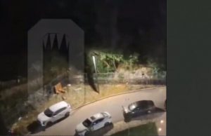 У Новоросійську лунали вибухи, мер Кравченко заявляв про атаку безекіпажних катерів. ВIДЕО У-Новоросійську-лунали-вибухи,-мер-Кравченко-заявляв-про-атаку-безекіпажних-катерів.-ВiДЕО