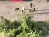 Російський загарбник тікав від атаки українських воїнів на електросамокаті. ВIДЕО Російський-загарбник-тікав-від-атаки-українських-воїнів-на-електросамокаті.-ВiДЕО