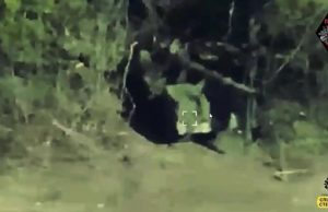 Уражено російську САУ 2С7 “Піон” на території Росії в Бєлгородській області. ВIДЕО Уражено-російську-САУ-2С7-“Піон”-на-території-Росії-в-Бєлгородській-області.-ВiДЕО