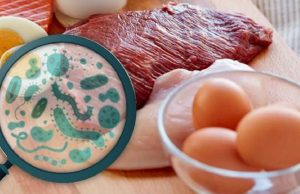 Що таке сальмонельоз та як від нього вберегтися: рекомендації лікаря епідеміолога Що-таке-сальмонельоз-та-як-від-нього-вберегтися:-рекомендації-лікаря-епідеміолога