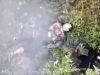 Окупант самоліквідувався за допомогою гранати на полі бою. ВIДЕО 18+ Окупант-самоліквідувався-за-допомогою-гранати-на-полі-бою.-ВiДЕО-18+