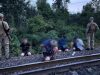За 100 метрів до кордону з Угорщиною затримано групу ухилянтів. ВІДЕО+ФОТОрепортаж За-100-метрів-до-кордону-з-Угорщиною-затримано-групу-ухилянтів.-ВІДЕО+ФОТОрепортаж
