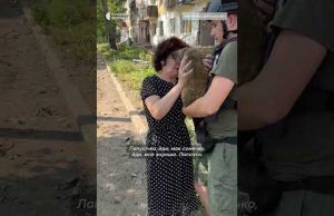 Кішка врятувалась після удару по будинку (ВІДЕО) Кішка врятувалась після удару по будинку (ВІДЕО)