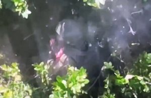 Окупант застрелився у кущах. ВIДЕО 18+ Окупант-застрелився-у-кущах.-ВiДЕО-18+