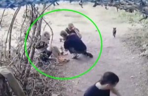 Троє військових армії РФ розбирають боєприпас сокирою та зубилом. ВIДЕО 18+ Троє-військових-армії-РФ-розбирають-боєприпас-сокирою-та-зубилом.-ВiДЕО-18+