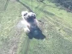 Ворожа БМП-2 наїхала на українську міну на Запорізькому напрямку. ВIДЕО Ворожа-БМП-2-наїхала-на-українську-міну-на-Запорізькому-напрямку.-ВiДЕО