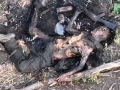 Щури доїдають рештки російського загарбника на Запоріжжі. ВIДЕО 18+ Щури-доїдають-рештки-російського-загарбника-на-Запоріжжі.-ВiДЕО-18+