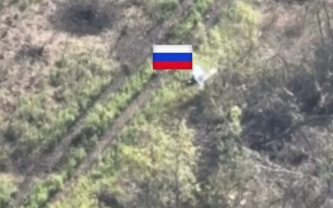Сили оборони виявили трьох окупантів, які замаскувалися у посадці, та ліквідували їх. ВIДЕО Сили-оборони-виявили-трьох-окупантів,-які-замаскувалися-у-посадці,-та-ліквідували-їх.-ВiДЕО