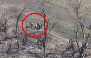 Четверо “двісті”, троє “триста”: дрон-камікадзе влучає у групу окупантів. ВIДЕО Четверо-“двісті”,-троє-“триста”:-дрон-камікадзе-влучає-у-групу-окупантів.-ВiДЕО