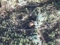 Тіло окупанта розірвало і від загарбника лишився один зад. ВIДЕО 18+ Тіло-окупанта-розірвало-і-від-загарбника-лишився-один-зад.-ВiДЕО-18+