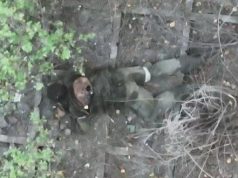 Ліквідація російського загарбника влучним скидом боєприпасу. ВIДЕО Ліквідація-російського-загарбника-влучним-скидом-боєприпасу.-ВiДЕО