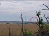 Ворожий Су-25 знищено на Покровському напрямку, – ОСУВ “Хортиця”. ВIДЕО Ворожий-Су-25-знищено-на-Покровському-напрямку,-–-ОСУВ-“Хортиця”.-ВiДЕО