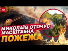 Горить понад 30 гектарів! Масштабна пожежа навколо Миколаєва (ВІДЕО) Горить понад 30 гектарів! Масштабна пожежа навколо Миколаєва (ВІДЕО)