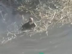 Дрон-камікадзе утопив окупанта, який бовтався у воді. ВIДЕО Дрон-камікадзе-утопив-окупанта,-який-бовтався-у-воді.-ВiДЕО