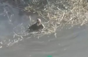 Дрон-камікадзе утопив окупанта, який бовтався у воді. ВIДЕО Дрон-камікадзе-утопив-окупанта,-який-бовтався-у-воді.-ВiДЕО