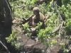 Окупант застрелився в кущах на полі бою. ВIДЕО Окупант-застрелився-в-кущах-на-полі-бою.-ВiДЕО