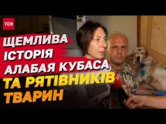 Алабай Кубас, якого розірвало уламками, та його рятівники з Чорнобаївки (ВІДЕО) Алабай Кубас, якого розірвало уламками, та його рятівники з Чорнобаївки (ВІДЕО)