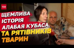 Алабай Кубас, якого розірвало уламками, та його рятівники з Чорнобаївки (ВІДЕО) Алабай Кубас, якого розірвало уламками, та його рятівники з Чорнобаївки (ВІДЕО)